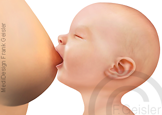 Brustdrüse Brust der Frau, Mutter säugt Kleinkind